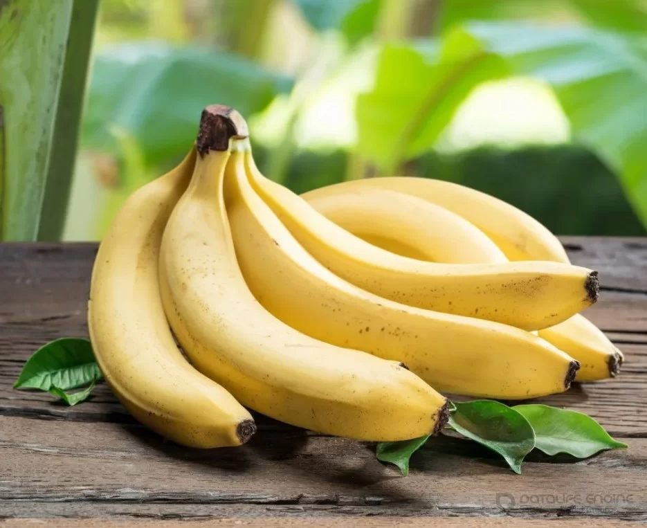 Все про пользу бананов